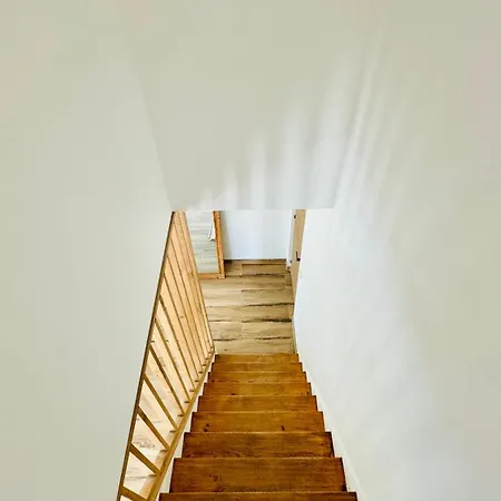 A La - Au Coeur De 스텔라플라주